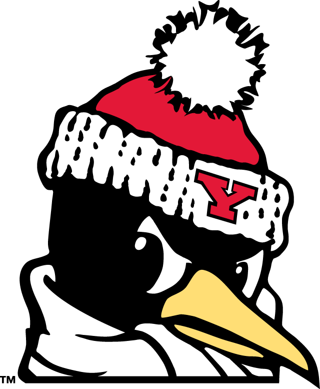 Youngstown State Penguins 1993-Pres Alternate Logo v9 iron on transfers for fabric